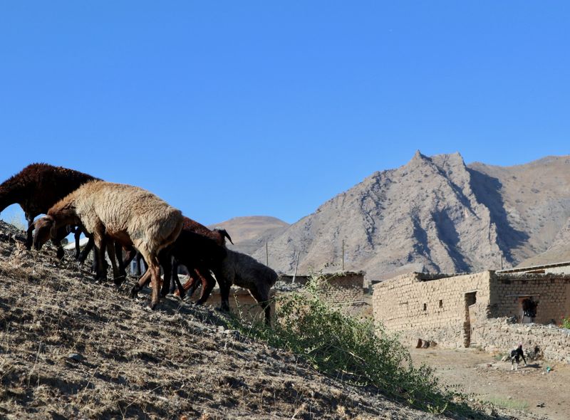 Groepsreis Oezbekistan
