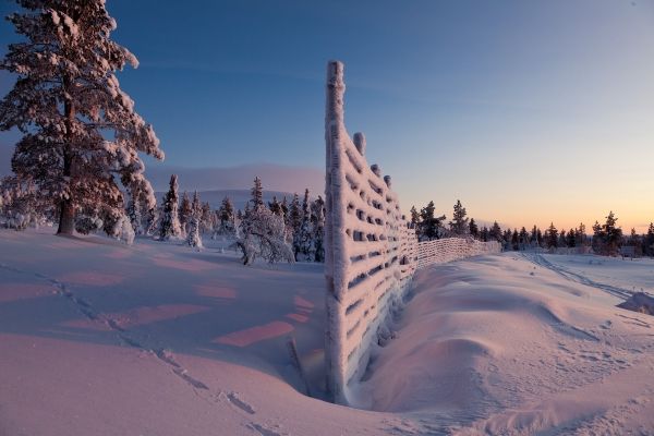 sneeuw