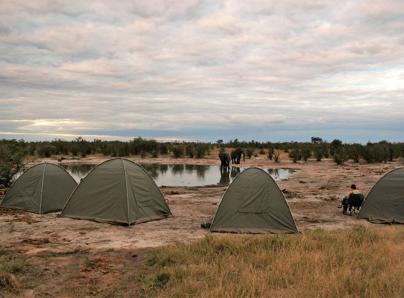Bush Camp in Botswana groepsreis