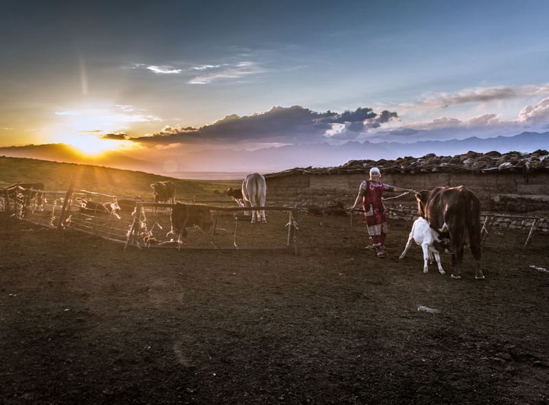 Groepsreis Kirgizië