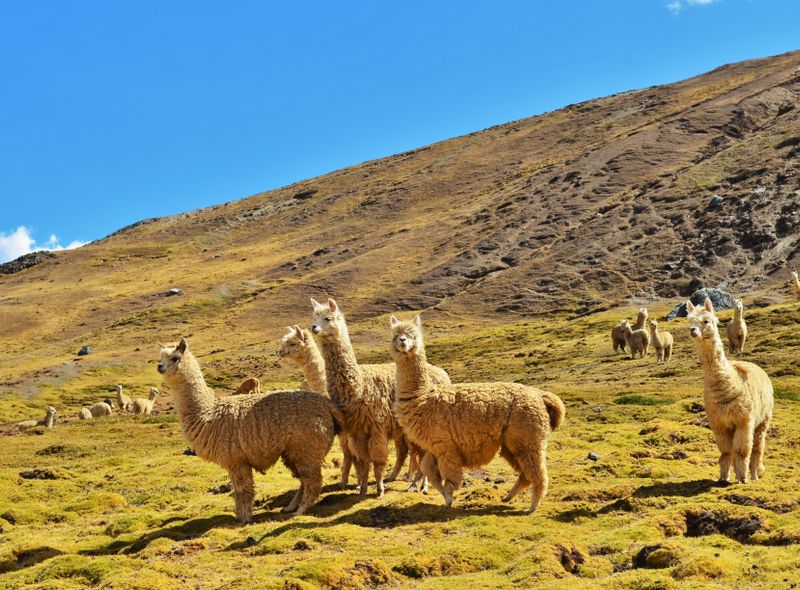Peru