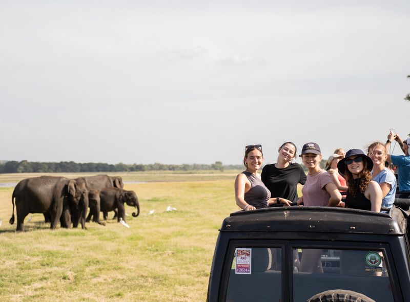 Sri Lanka groepsreis 18-26 - olifantensafari