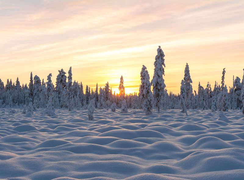 sneeuwlandschap
