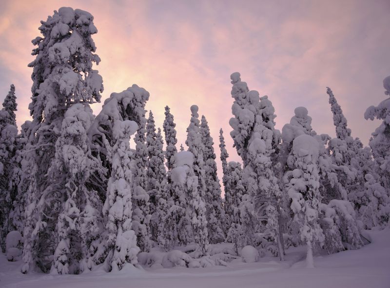 Groepsreis winter finland