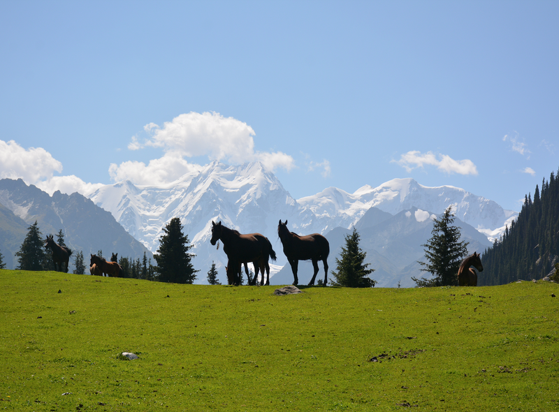 Groepsreis Kirgizië