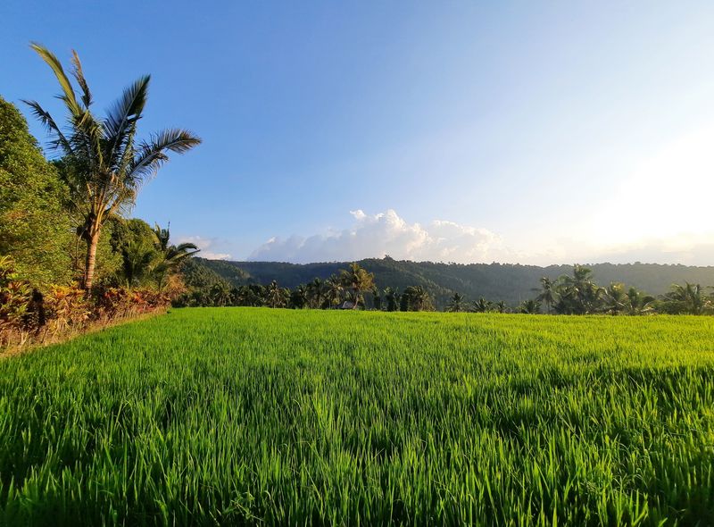 Groepsreis Indonesië