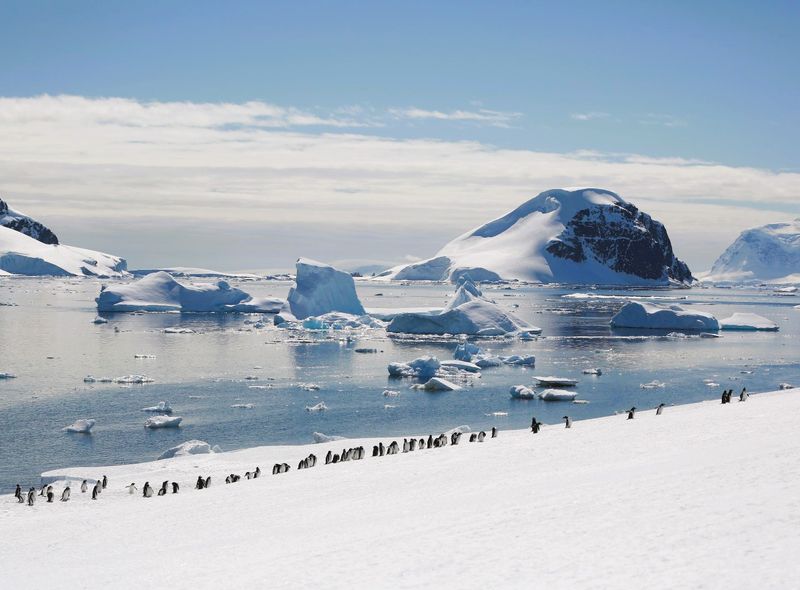 Groepsreis Antarctica