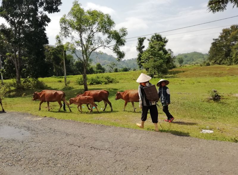 Groepsreis Vietnam