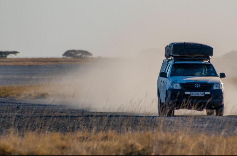 safari zuid afrika met Jeep