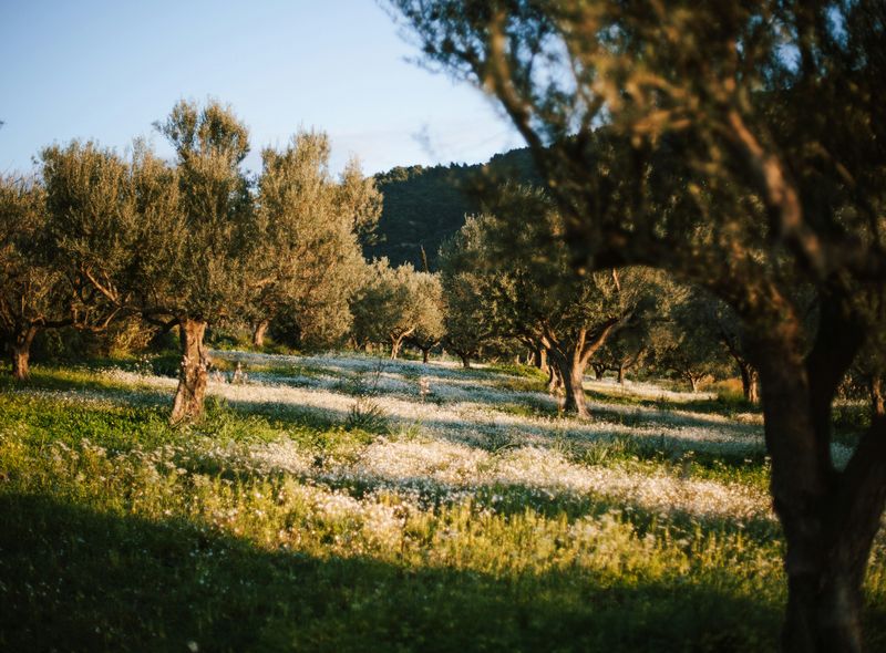 Groepsreis Griekenland Peleponnesos Comfort 