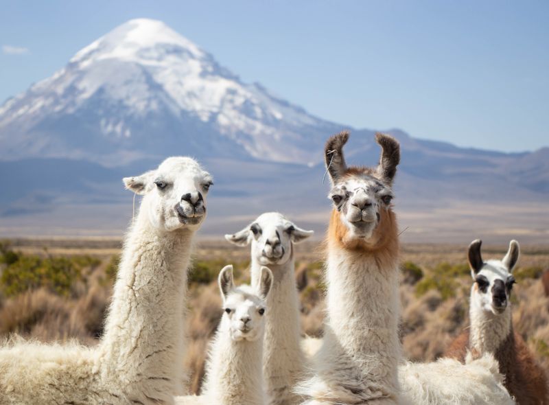 Peru