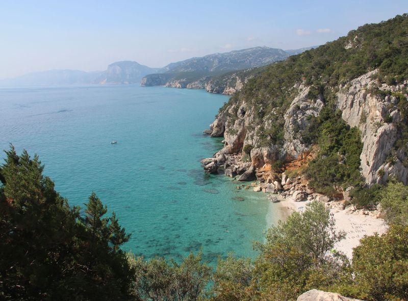 Dominique Verschueren