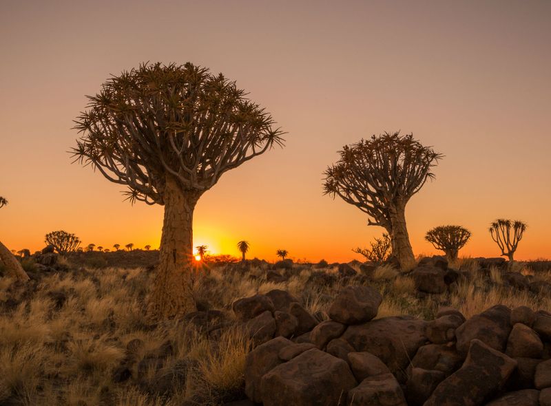 Groepsreis  Van Kaapstad naar Victoria Falls Zuid-Afrika Namibië Botswana Zimbabwe Zambia groepsreis