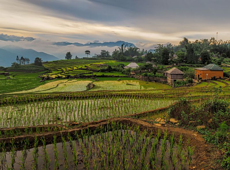 Groepsreis Vietnam