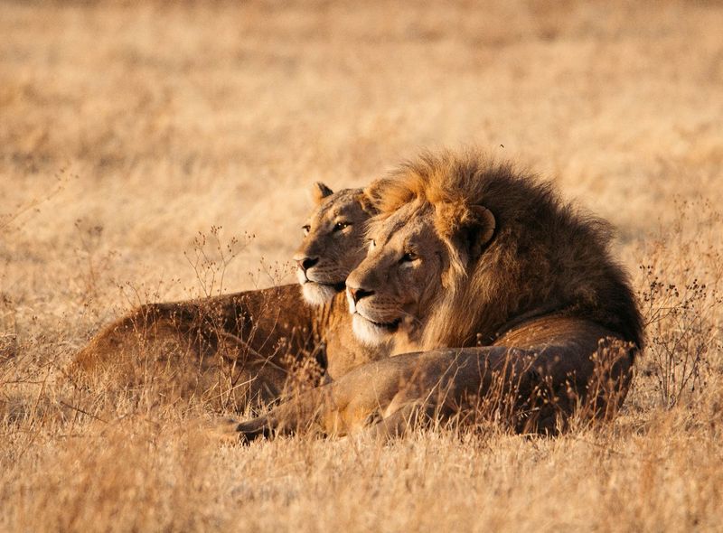 Groepsreis Tanzania en Zanzibar