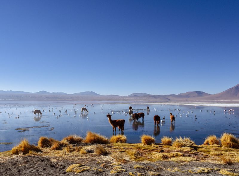 Groepsreis Bolivia