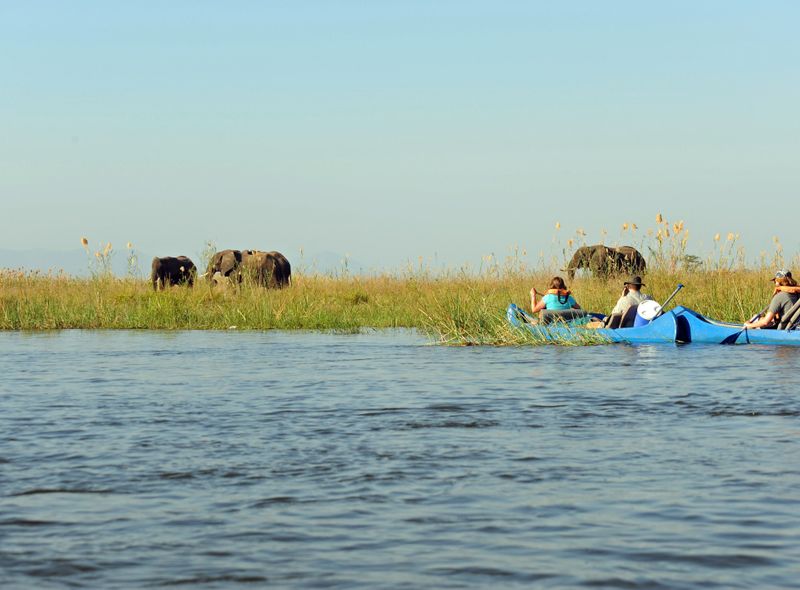 Groepsreis Zambia kanotocht op de Zambezi olifanten