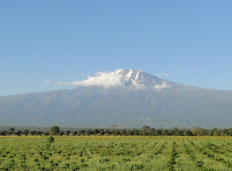 Kilimanjaro beklimming Machame route Afrika Tanzania