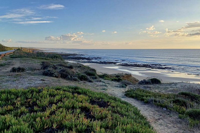 Fietsen in de Alentejo 