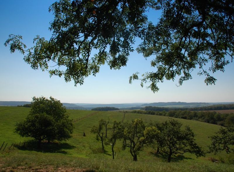 Luxemburgse Ardennen 
