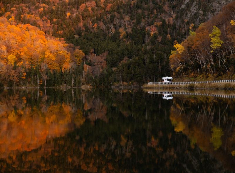 Canada Cruise