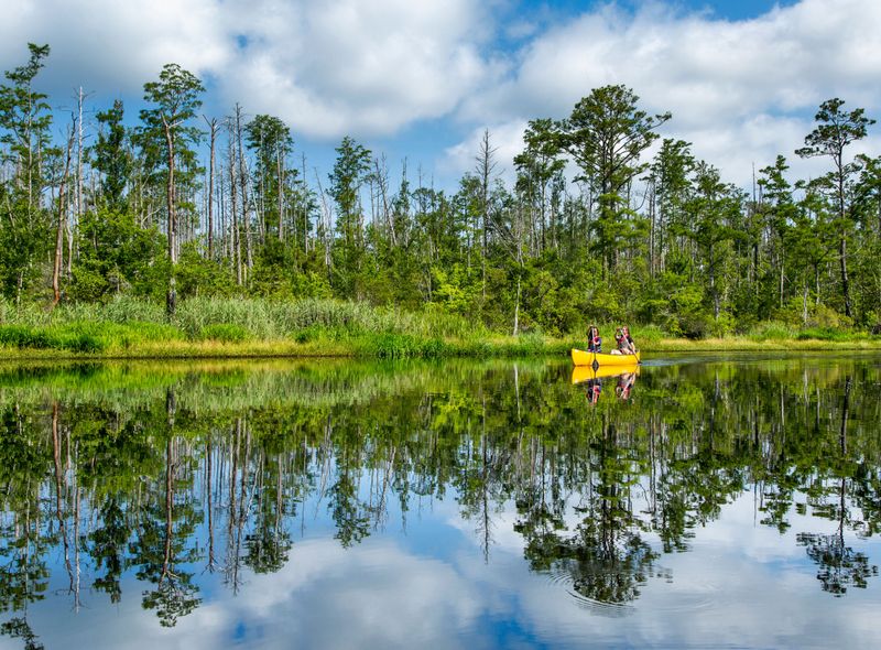 Alligator River