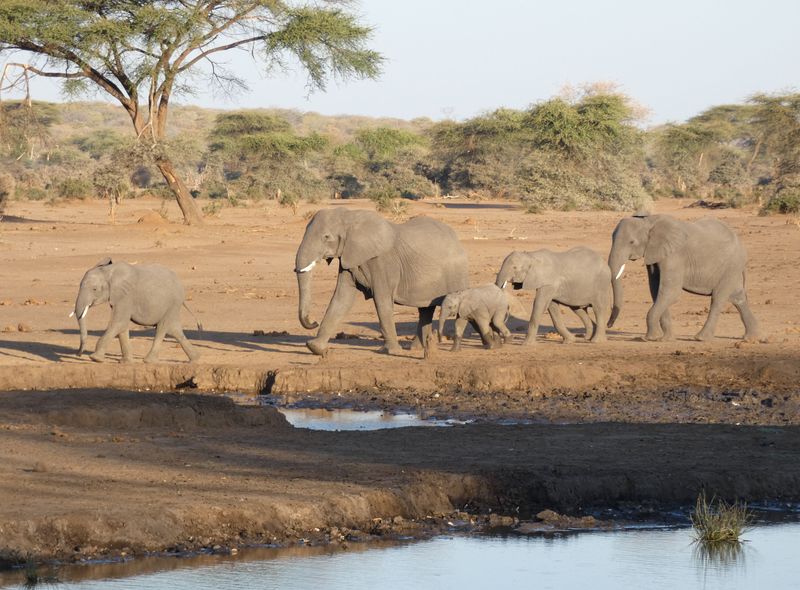 Botswana