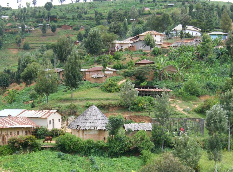 Tanzania Cultural Tourism Program Usambara Mountains 