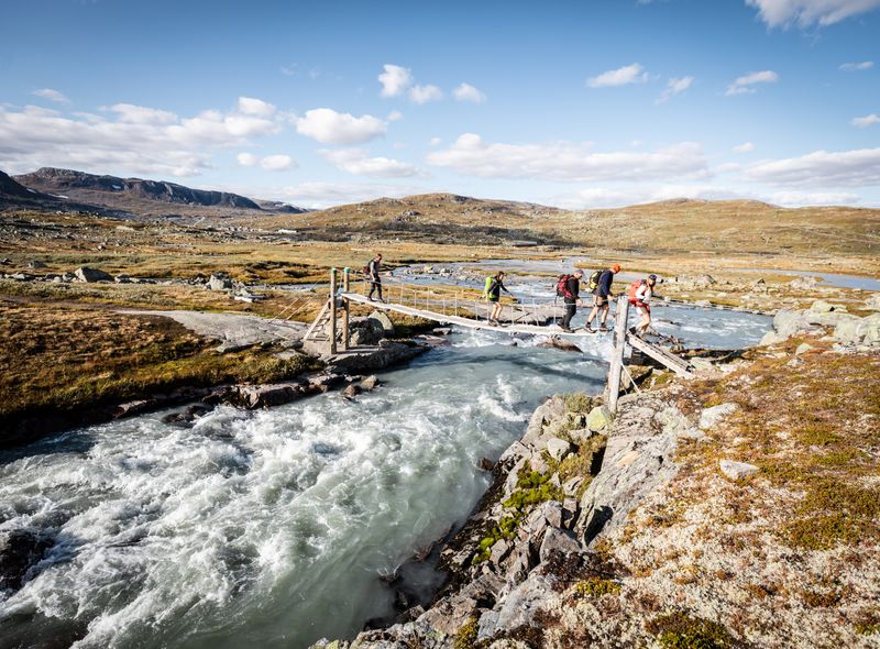 Hardangervidda