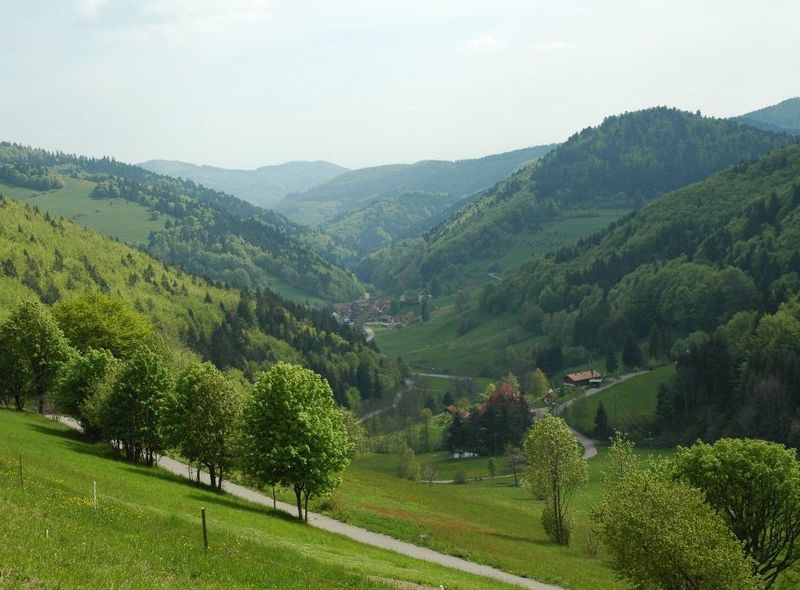 schluchtensteig