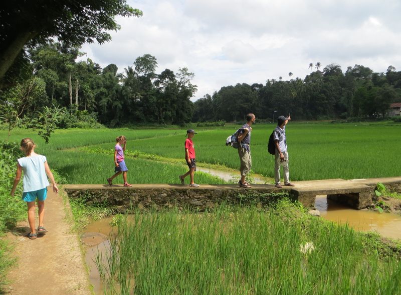 Sri Lanka familie gezin rondreis avontuur