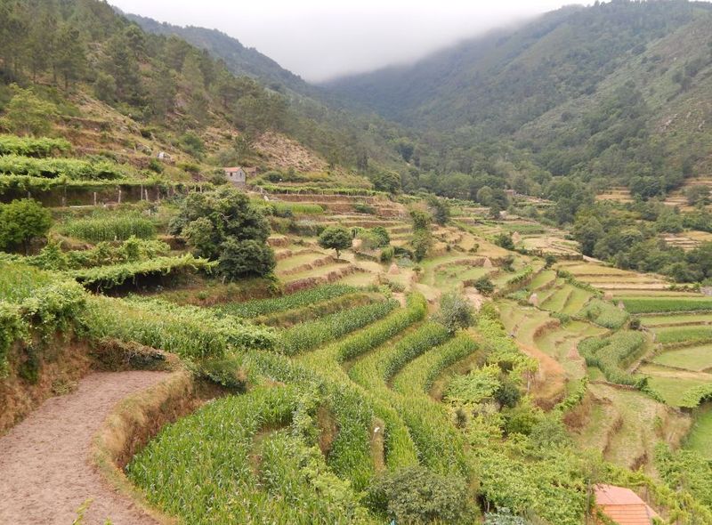 Portugal - De groene Minho