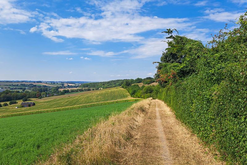 Dutch Mountain trail