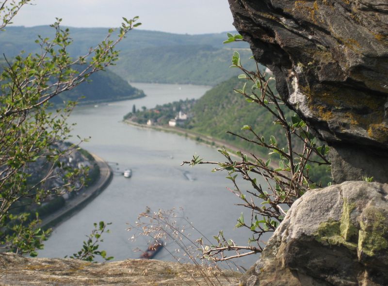 Uitzicht over de Rijn langs de Rhainsteig