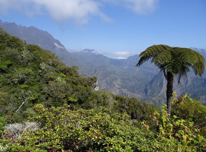 La Réunion