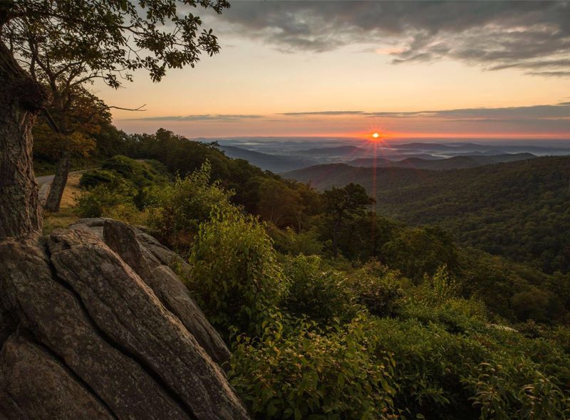 Discover the Capital Region