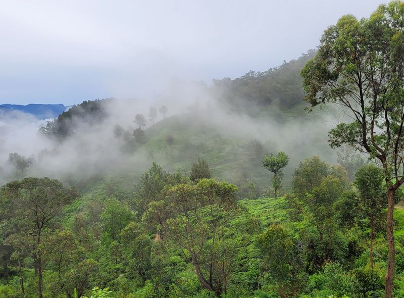 Sri Lanka