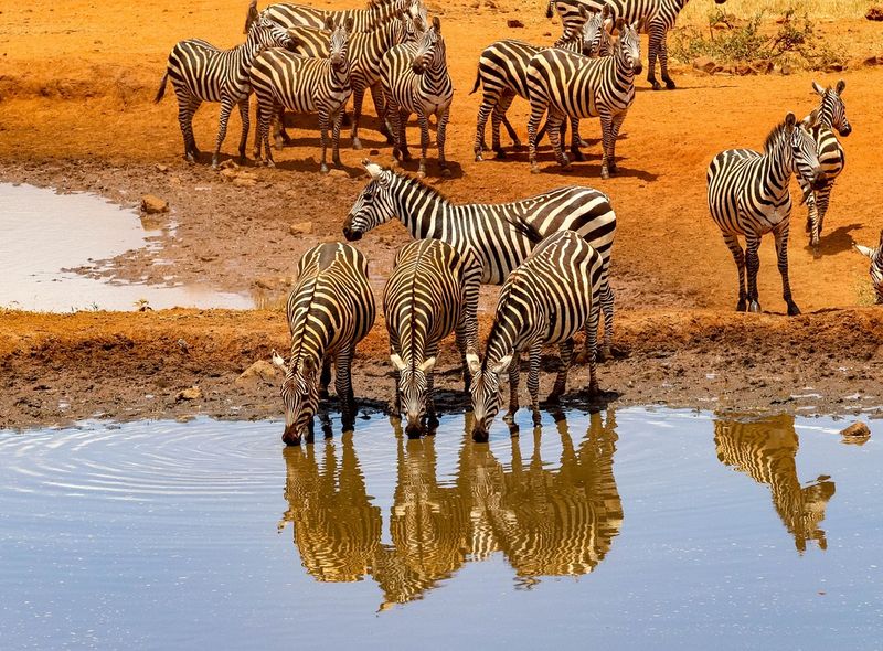Kenia - Pixabay