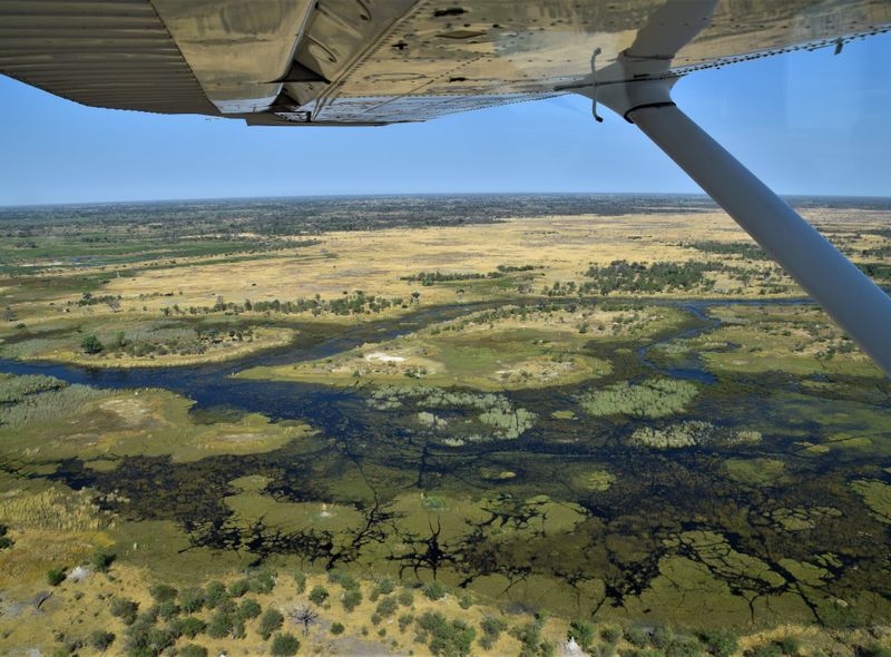 Vlucht over de Delta