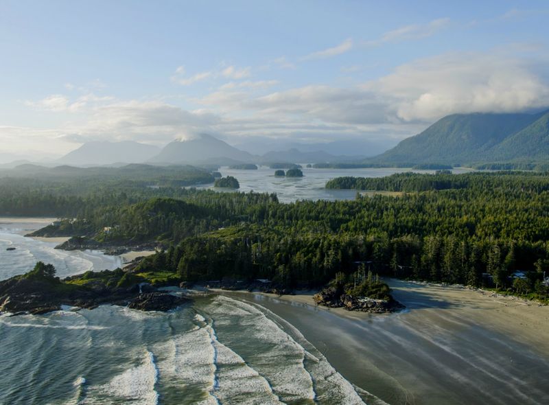 Regenwoud Vancouver Island Brits-Columbia Canada rondreis huurwagen