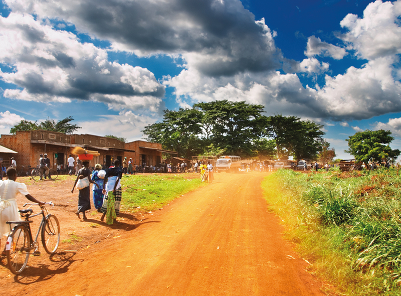 Oeganda individuele reis gids chauffeur 4x4 berggorilla chimpansee trektocht