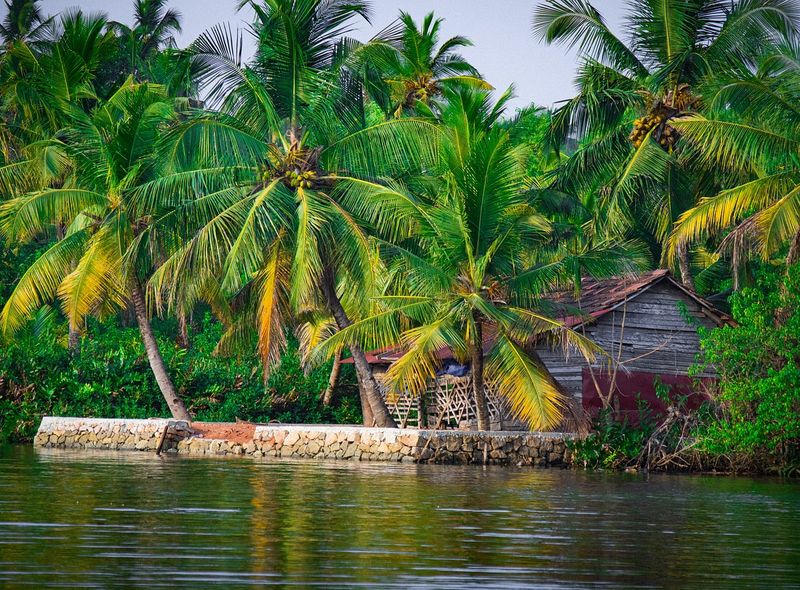 Kerala - Pixabay