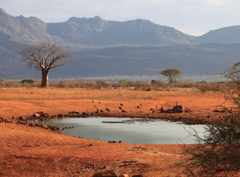Tsavo West - Pixabay