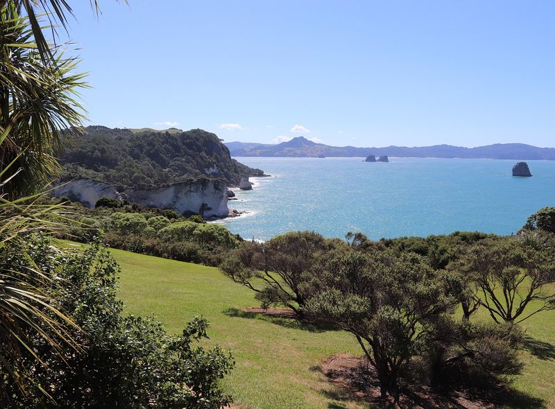 Coromandel - Pixabay