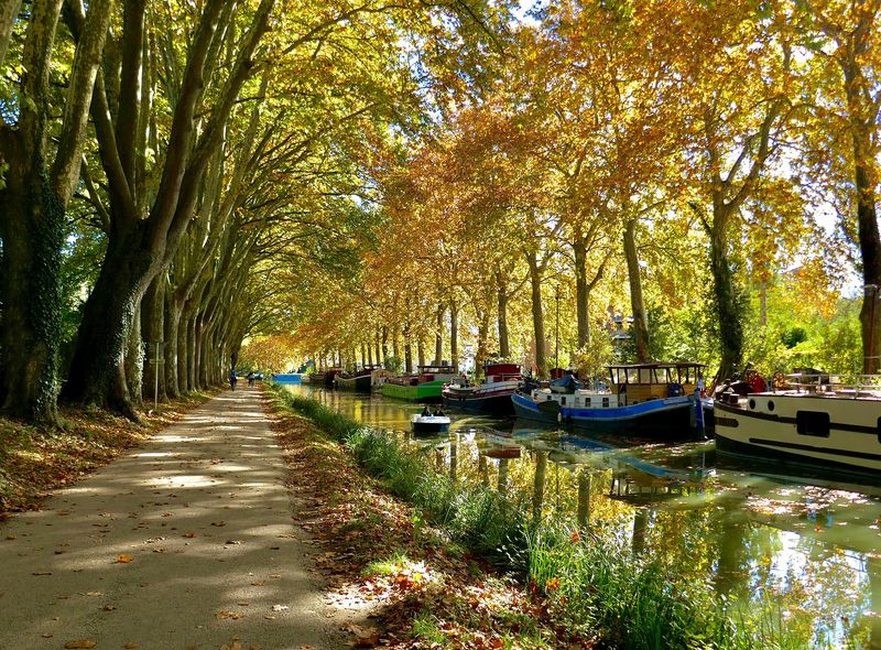 Fietsvakantie Canal du Midi, Toulouse, Carcassonne, Béziers, Sète, kanaal, Frankrijk