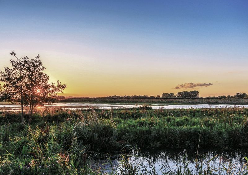 Nationaal Park Hoge Veluwe