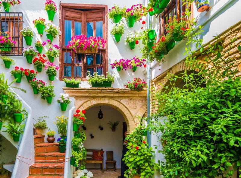 Patio Cordoba
