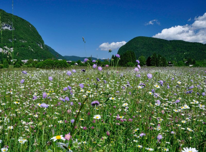 Multisport in Slovenië