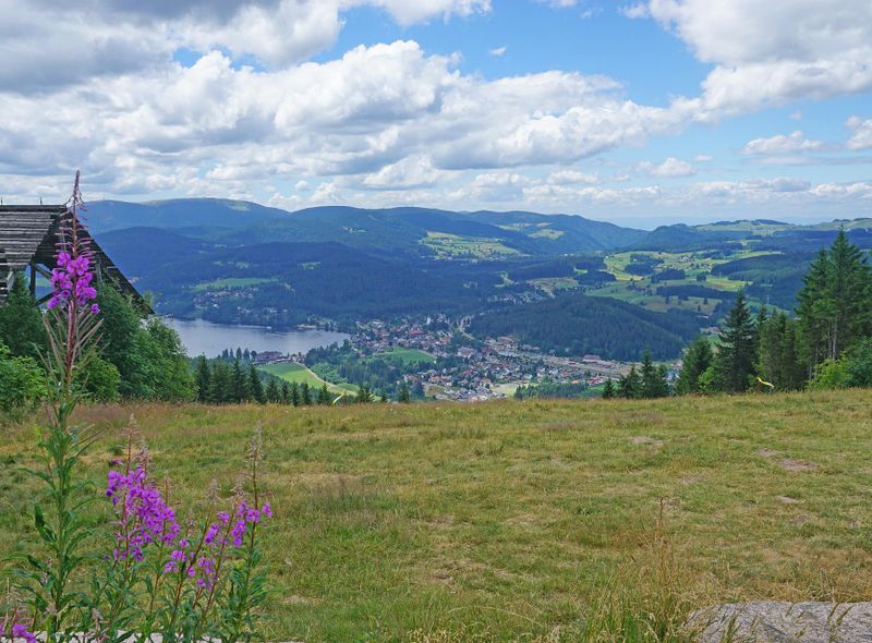 fietsvakantie in het zuiden van het Zwarte Woud 