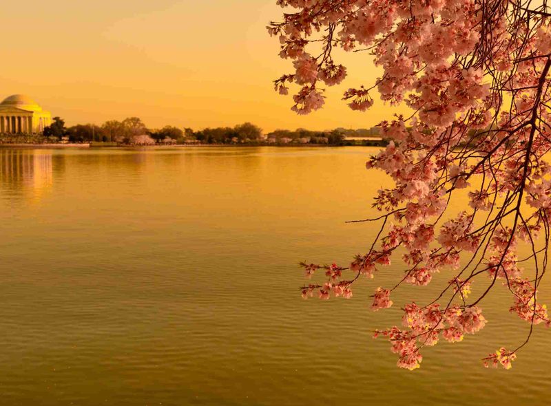 Jefferson Memorial